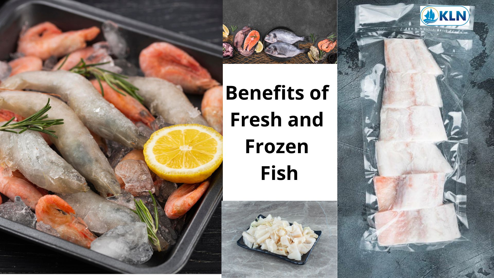 Benefits of Fresh and Frozen Fish